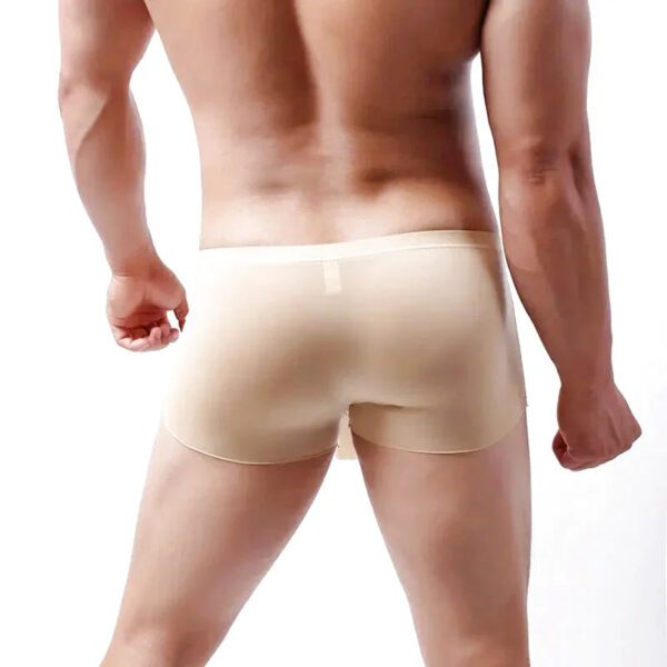Boxer Elephant - My Store