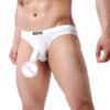 Slip Trompe Elephant - My Store